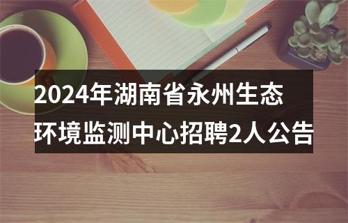 2024年湖南省永州生态环境监测中心招聘2人公告 图片
