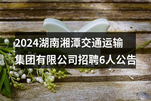 2024湖南湘潭交通运输集团有限公司招聘6人公告 图片