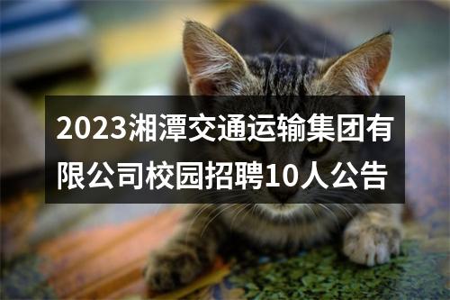 2023湘潭交通运输集团有限公司校园招聘10人公告 图片
